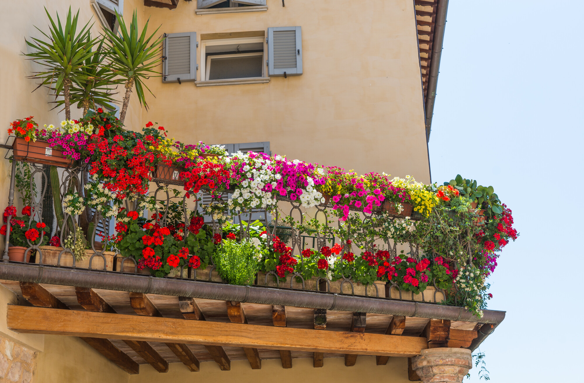 Progettazione giardini e balconi Bergamo